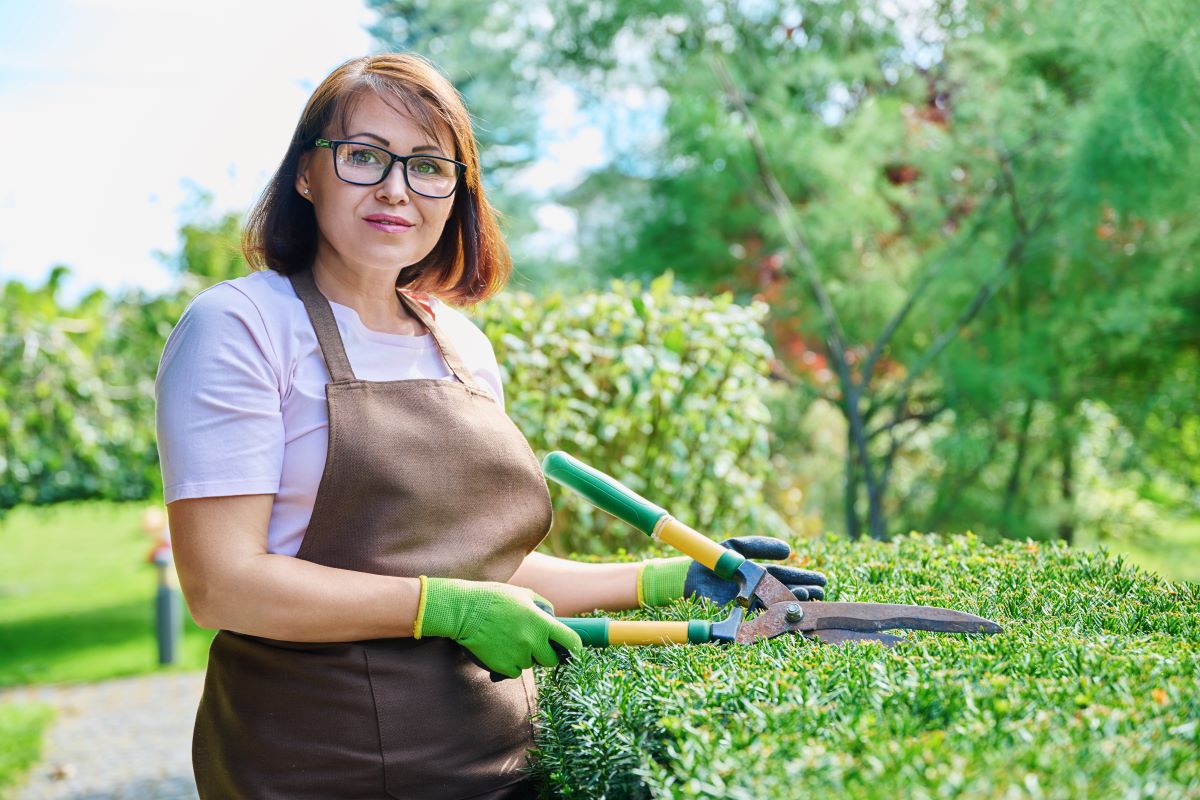 Gartenpflege übers Jahr: Saisonkalender & Arbeitstipps