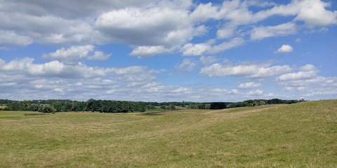 Buckowseerinne